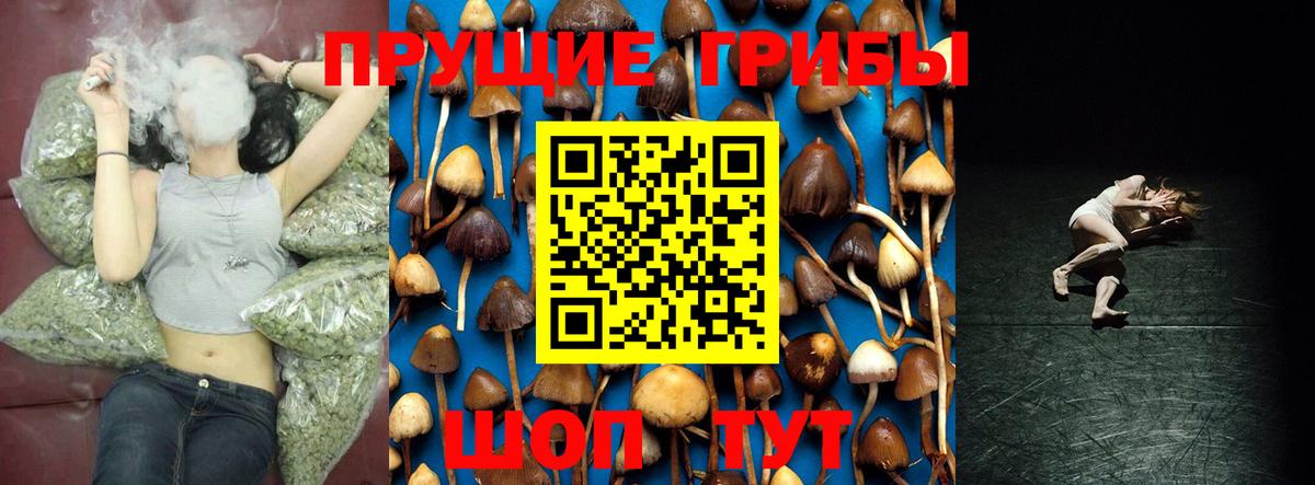 Назрань  Псилоцибиновые грибы мухоморы  Галлюциногенные грибы прущие грибы  Вход с VPN 